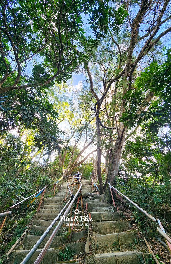 台中大坑觀音山登山步道03