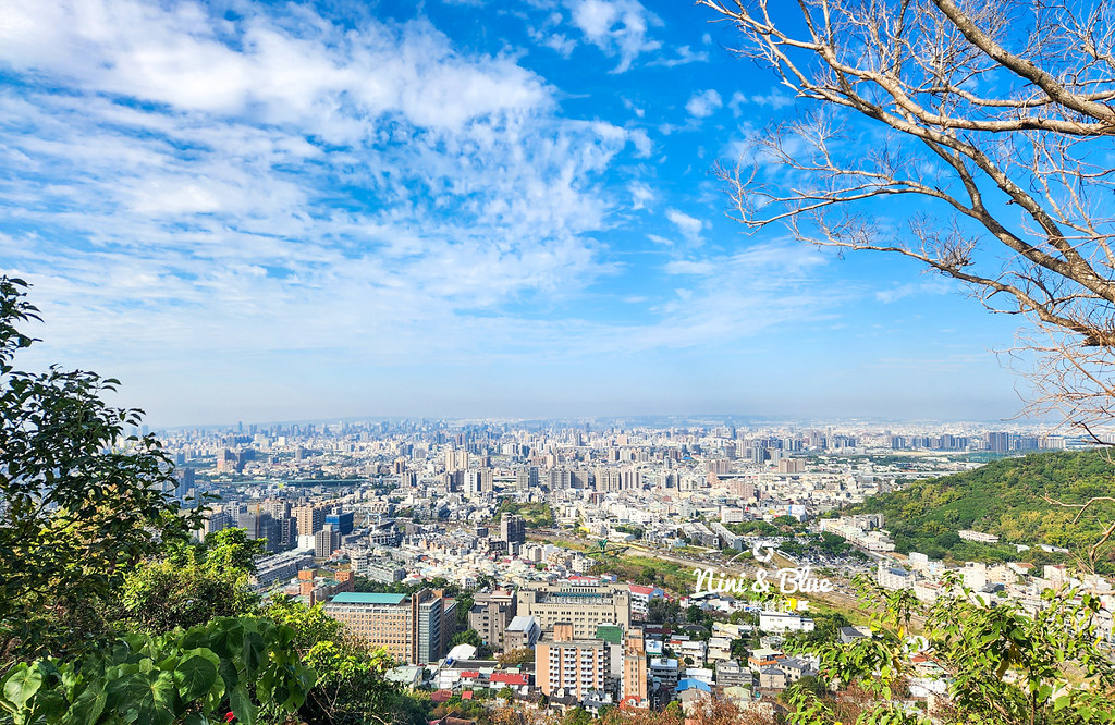 台中大坑觀音山登山步道12