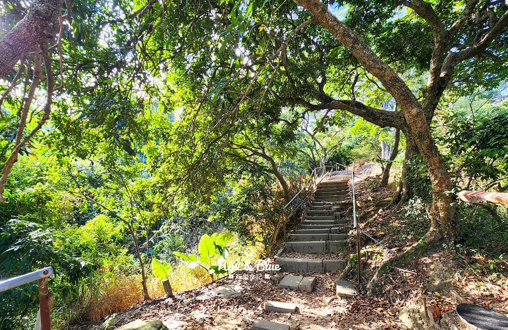 台中大坑觀音山登山步道27