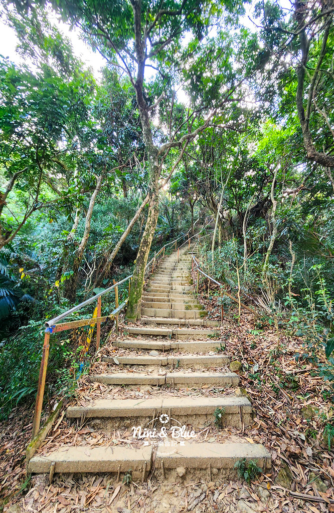 台中大坑觀音山登山步道30