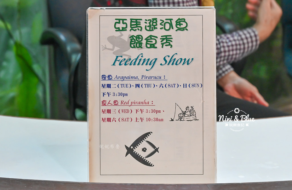 國立自然科學博物館植物園  門票 台中景點 雨林33