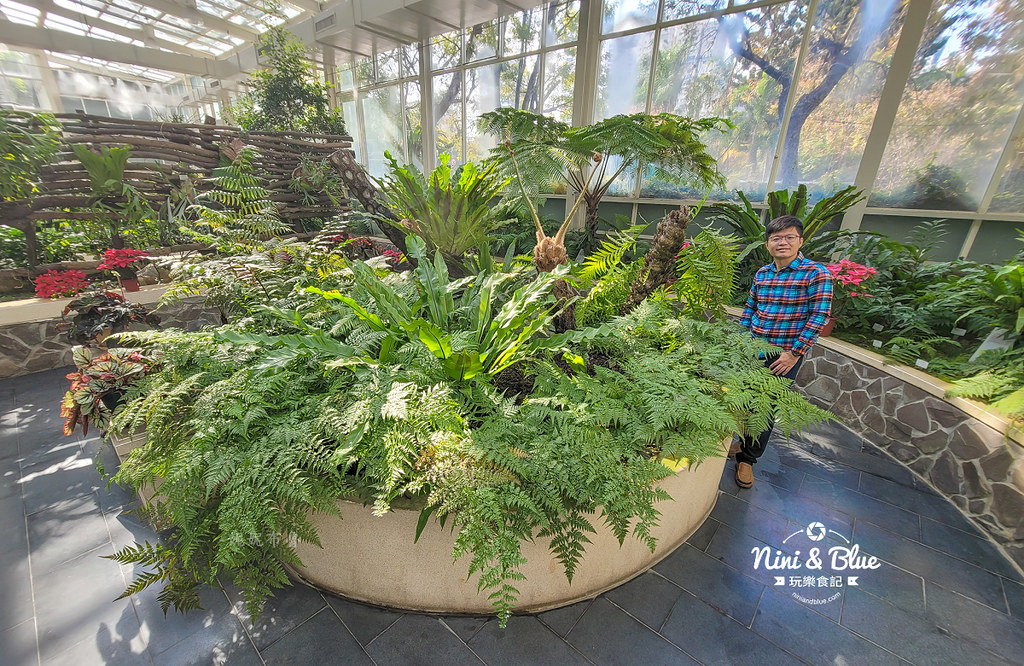 國立自然科學博物館植物園  門票 台中景點 雨林28