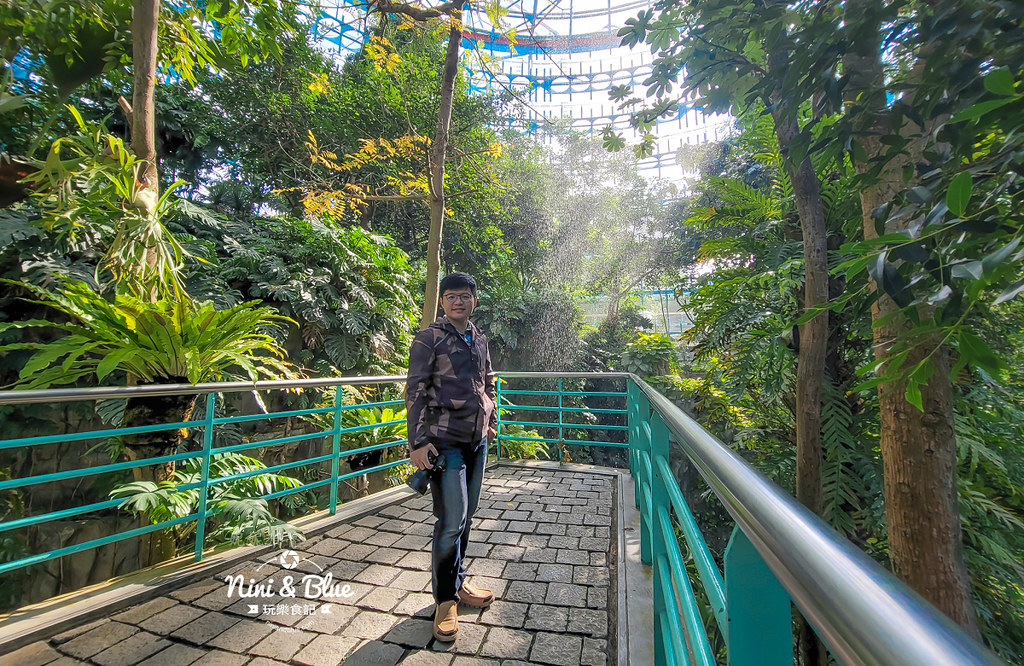 國立自然科學博物館植物園  門票 台中景點 雨林12