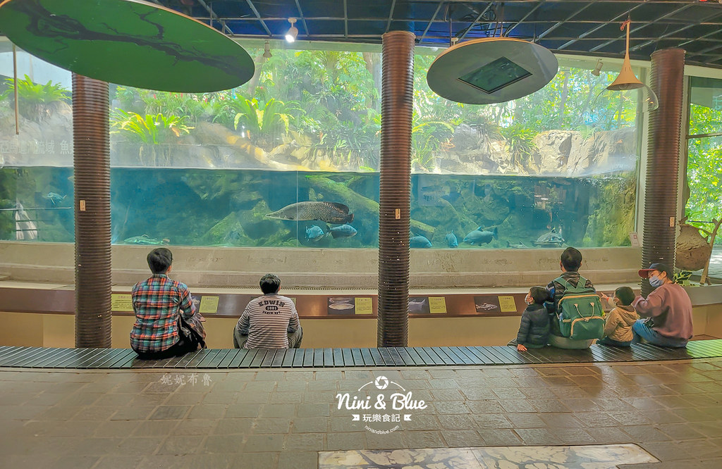 國立自然科學博物館植物園  門票 台中景點 雨林22