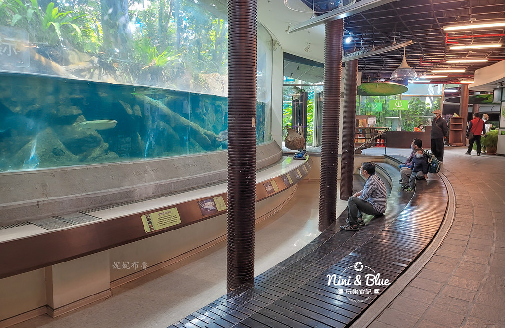 國立自然科學博物館植物園  門票 台中景點 雨林21