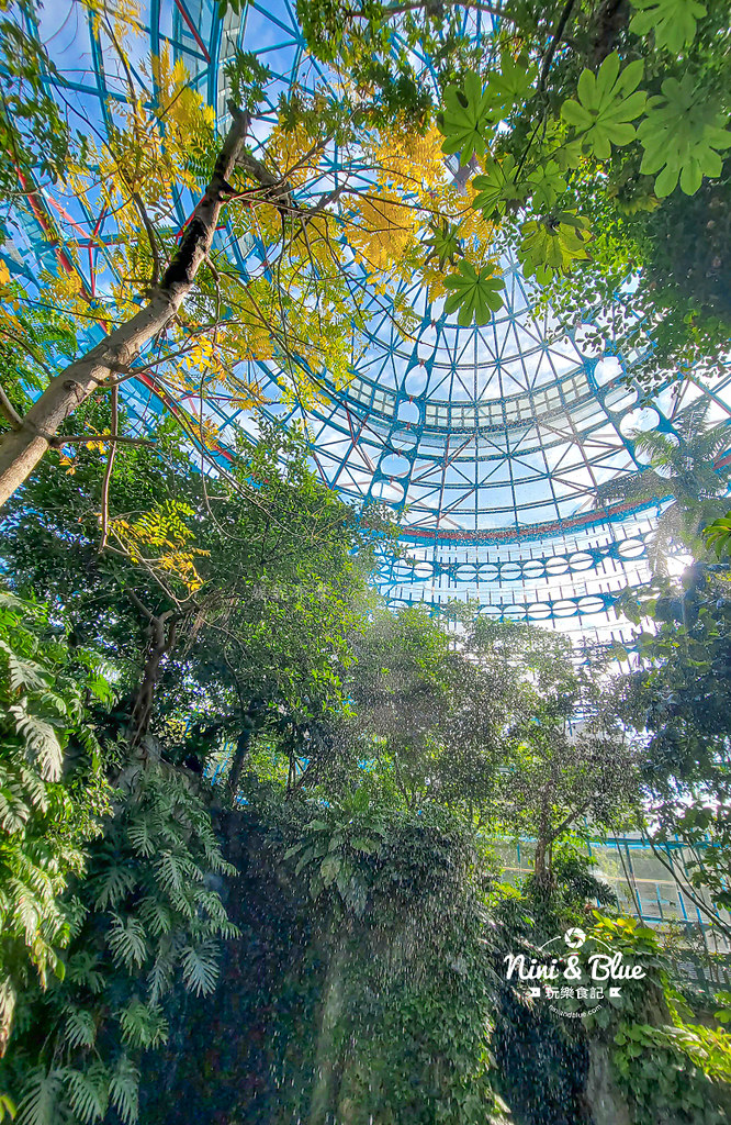 國立自然科學博物館植物園  門票 台中景點 雨林10