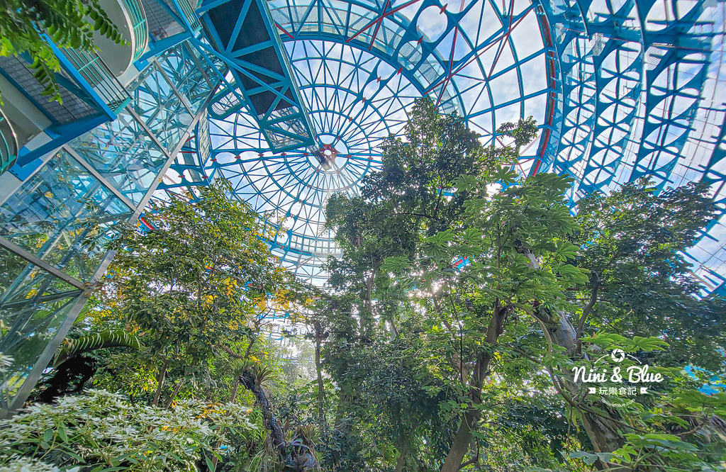 國立自然科學博物館植物園  門票 台中景點 雨林09