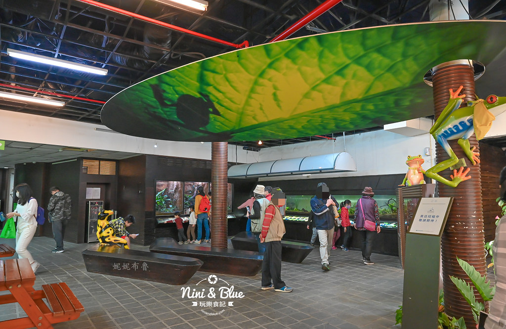 國立自然科學博物館植物園  門票 台中景點 雨林34