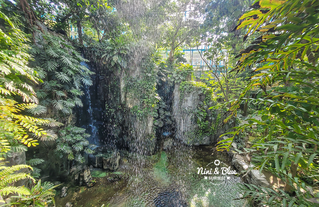 國立自然科學博物館植物園  門票 台中景點 雨林11