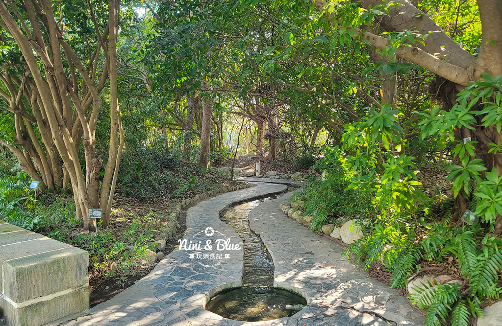 國立自然科學博物館植物園  門票 台中景點 雨林05