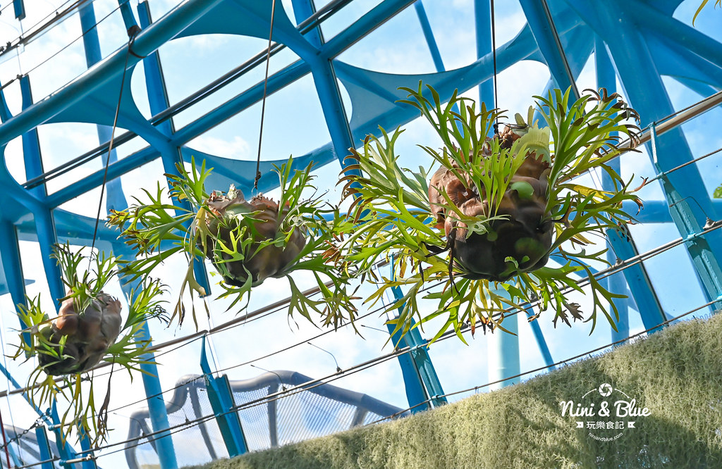 國立自然科學博物館植物園  門票 台中景點 雨林31