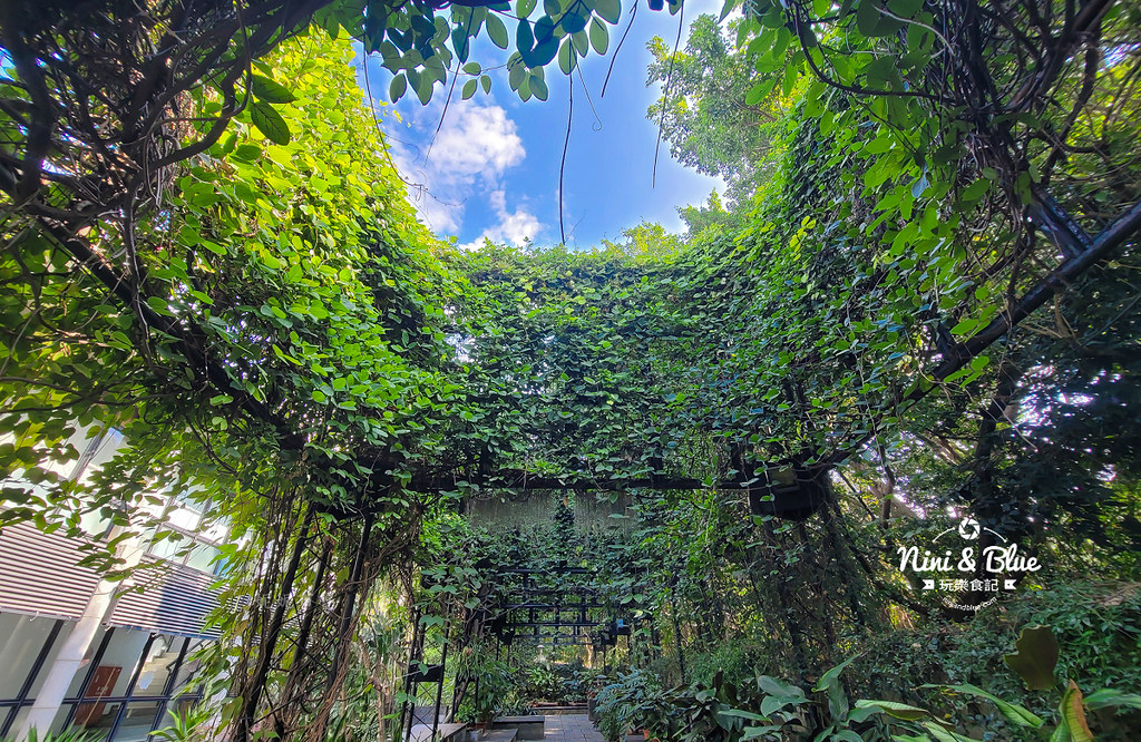 國立自然科學博物館植物園  門票 台中景點 雨林30