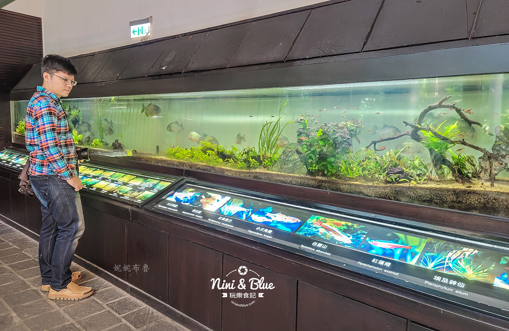 國立自然科學博物館植物園  門票 台中景點 雨林23