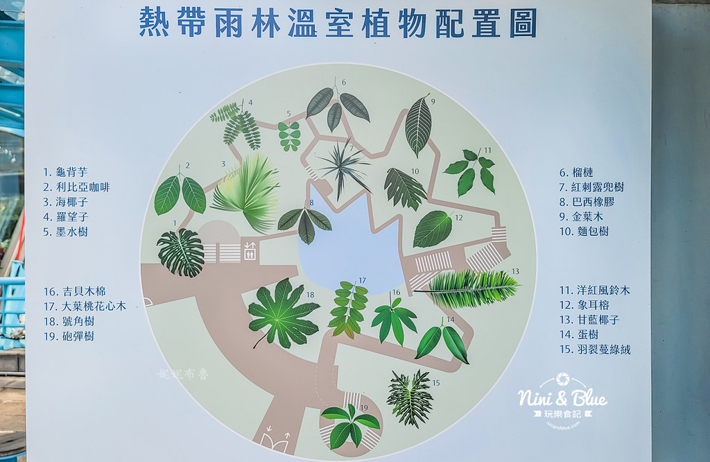 國立自然科學博物館植物園  門票 台中景點 雨林08