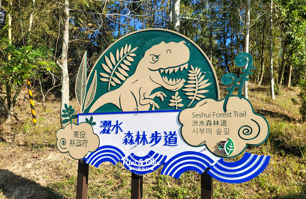 澀水森林步道日月潭步道11