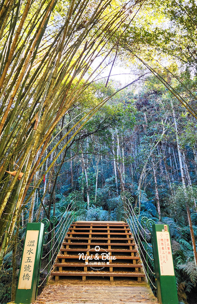 澀水森林步道日月潭步道26