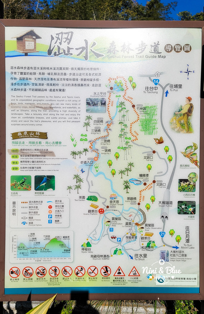 澀水森林步道日月潭步道06