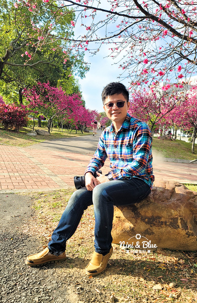 台中中科崴立櫻花公園台中賞櫻景點04