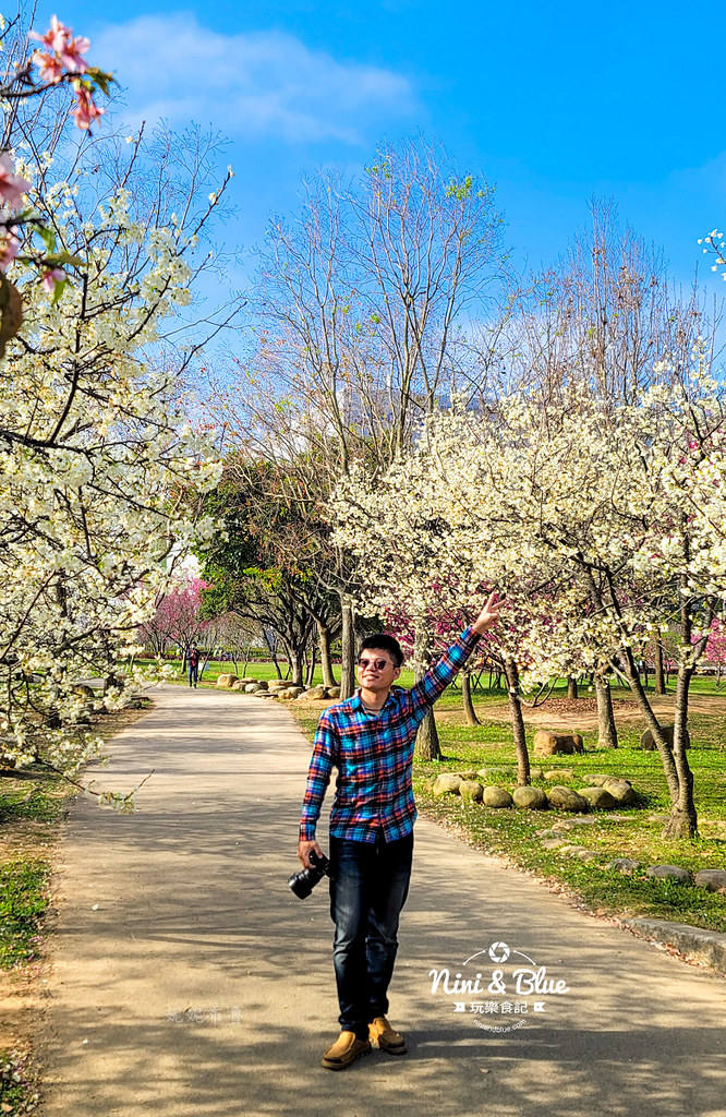 台中中科崴立櫻花公園台中賞櫻景點05