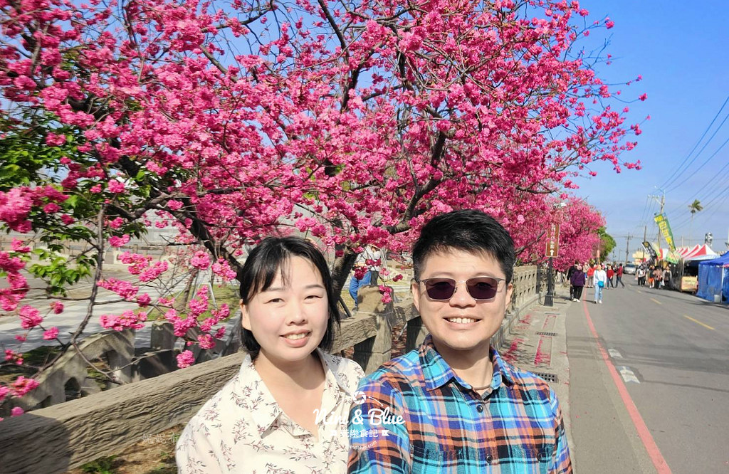 泰安櫻花季台中賞櫻景點13 泰安櫻花季台中賞櫻景點13