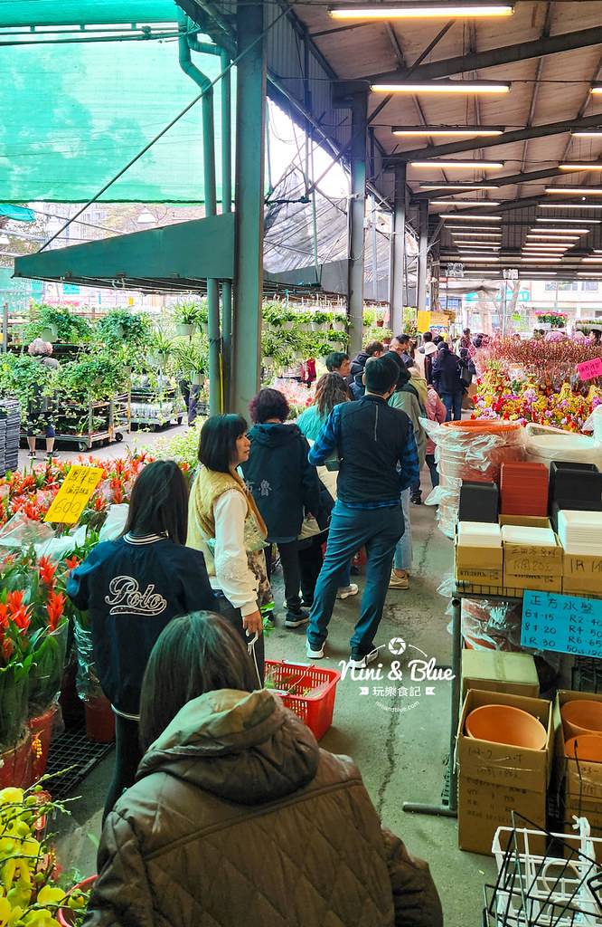 八角農園台中花市推薦2413