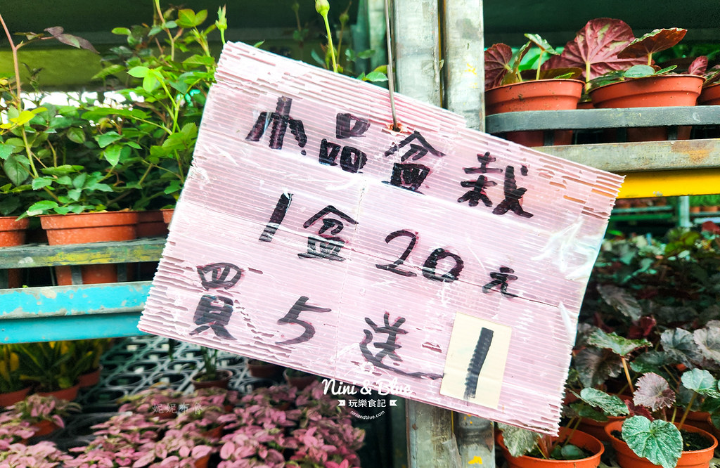 八角農園台中花市推薦2407