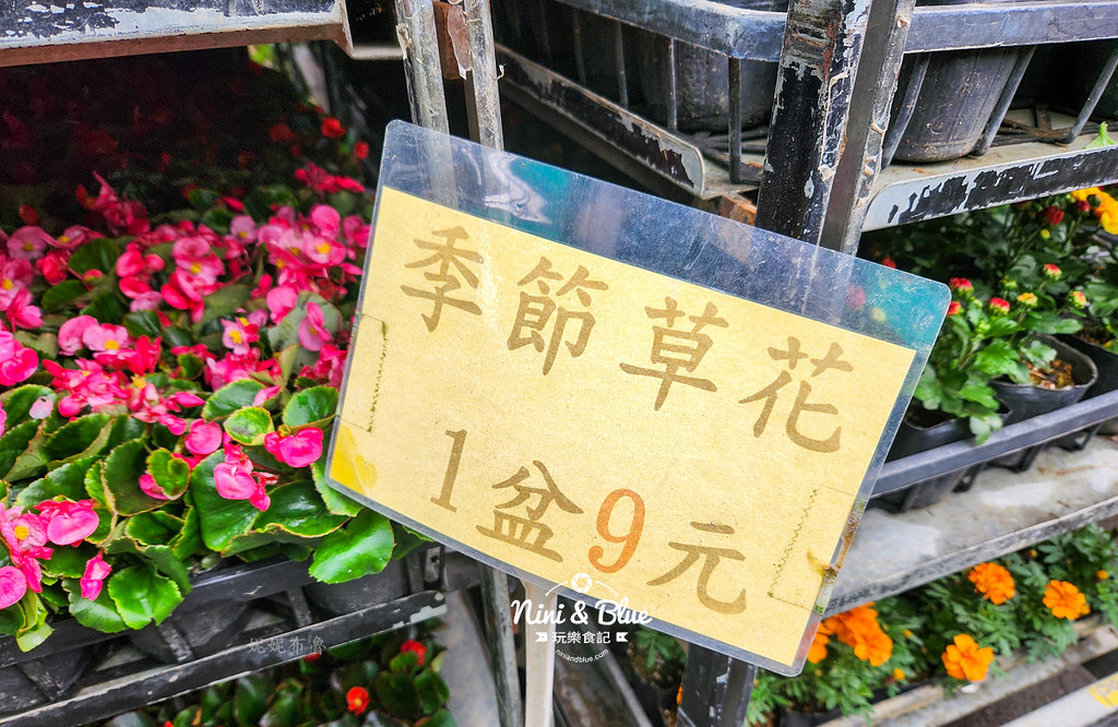 八角農園台中花市推薦2406