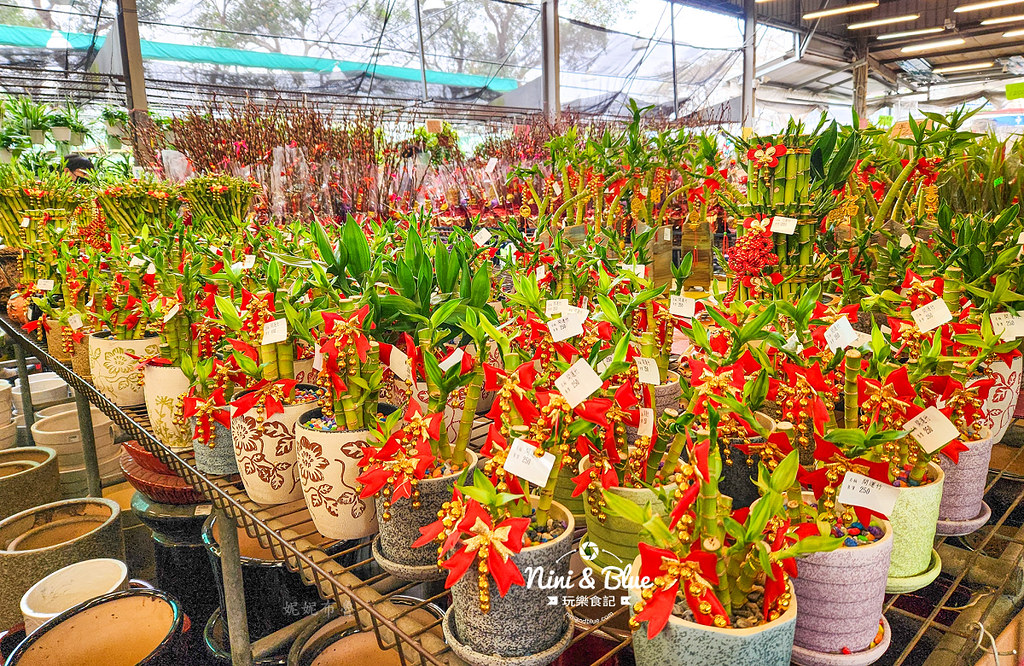 八角農園台中花市推薦2404