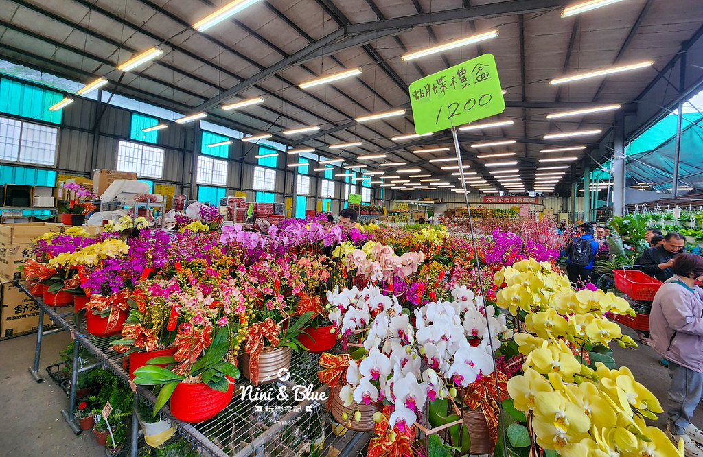 八角農園台中花市推薦2402