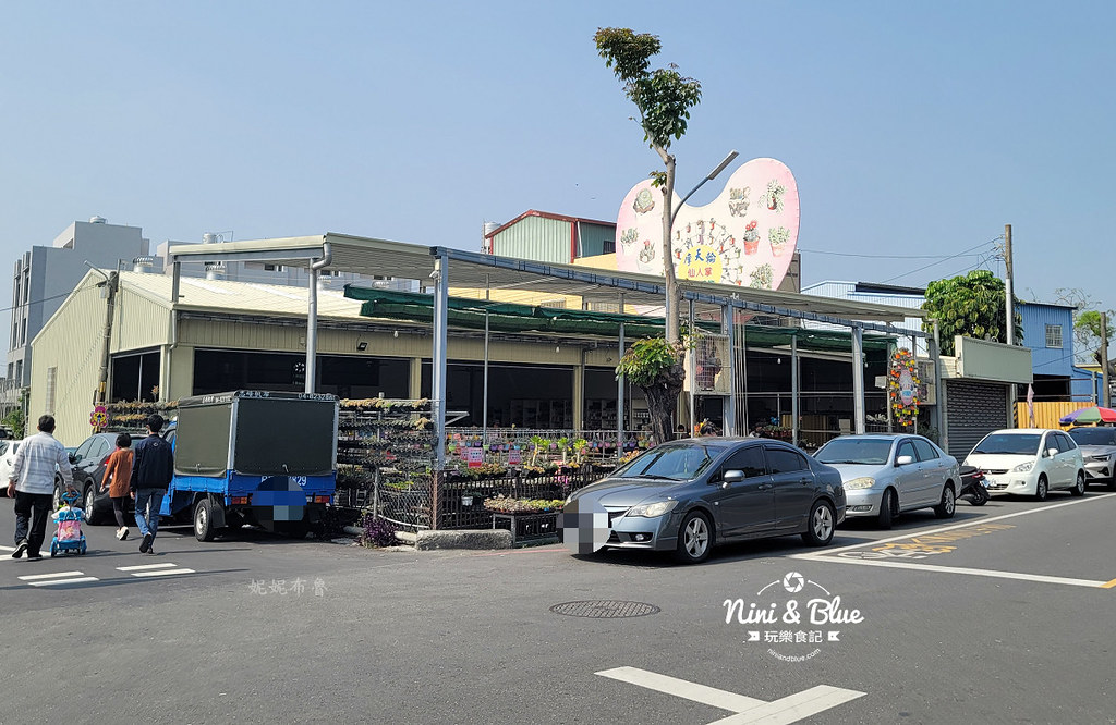 田尾花園多肉植物 摩天輪仙人掌多肉植物01 田尾花園多肉植物 摩天輪仙人掌多肉植物01
