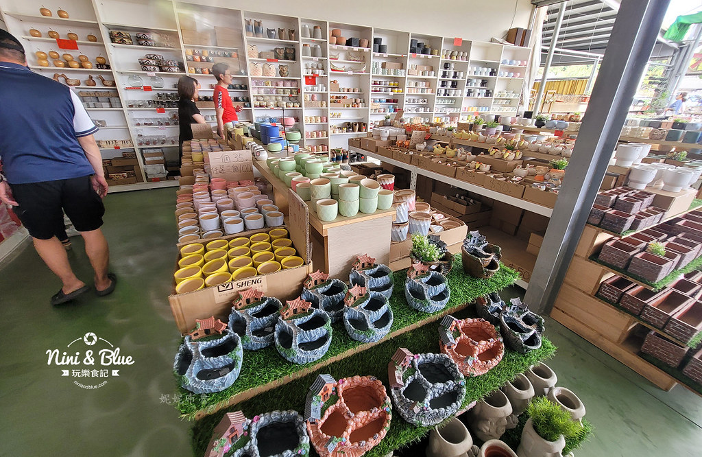 田尾花園多肉植物 摩天輪仙人掌多肉植物20 田尾花園多肉植物 摩天輪仙人掌多肉植物20
