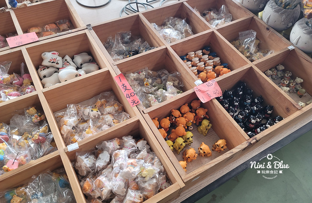 田尾花園多肉植物 摩天輪仙人掌多肉植物18
