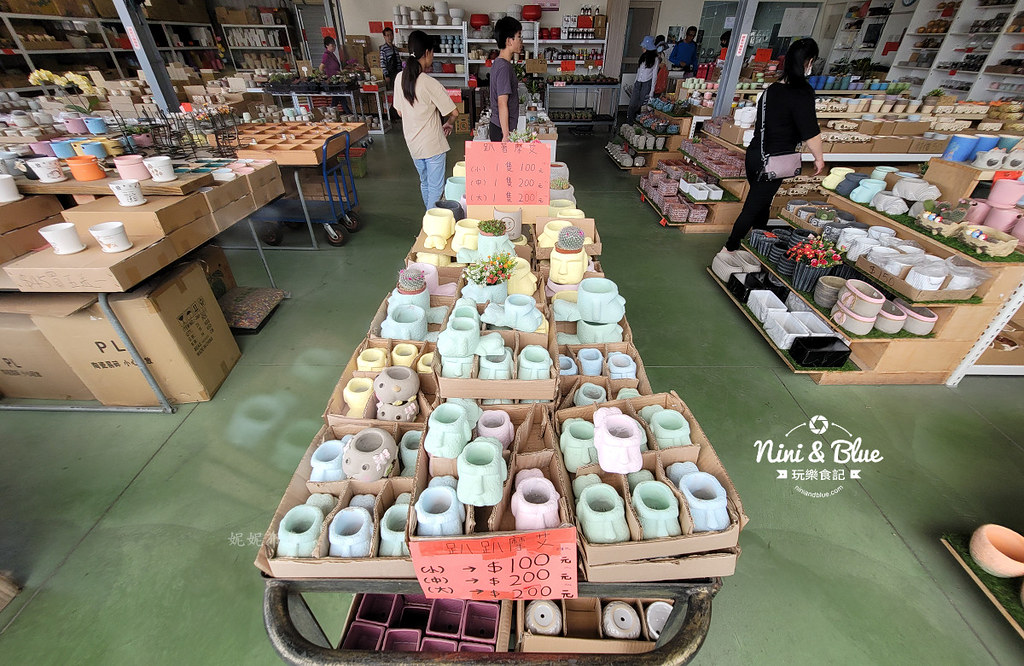 田尾花園多肉植物 摩天輪仙人掌多肉植物14 田尾花園多肉植物 摩天輪仙人掌多肉植物14