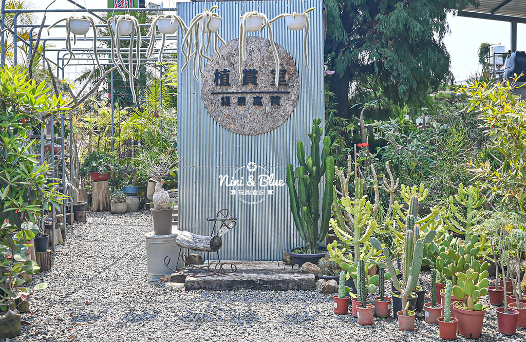 綠果庭院 田尾多肉植物 文青拍照景點12