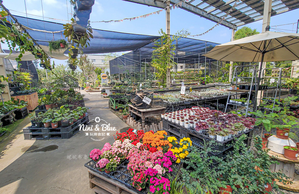 綠果庭院 田尾多肉植物 文青拍照景點07