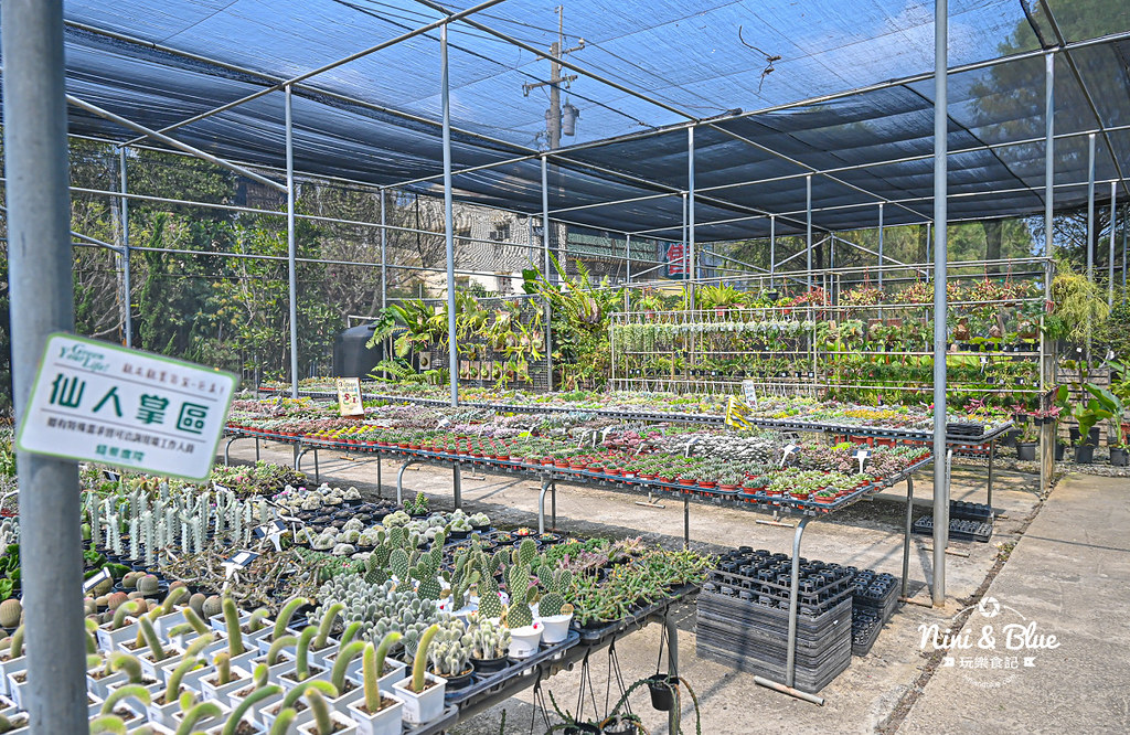 綠果庭院 田尾多肉植物 文青拍照景點18