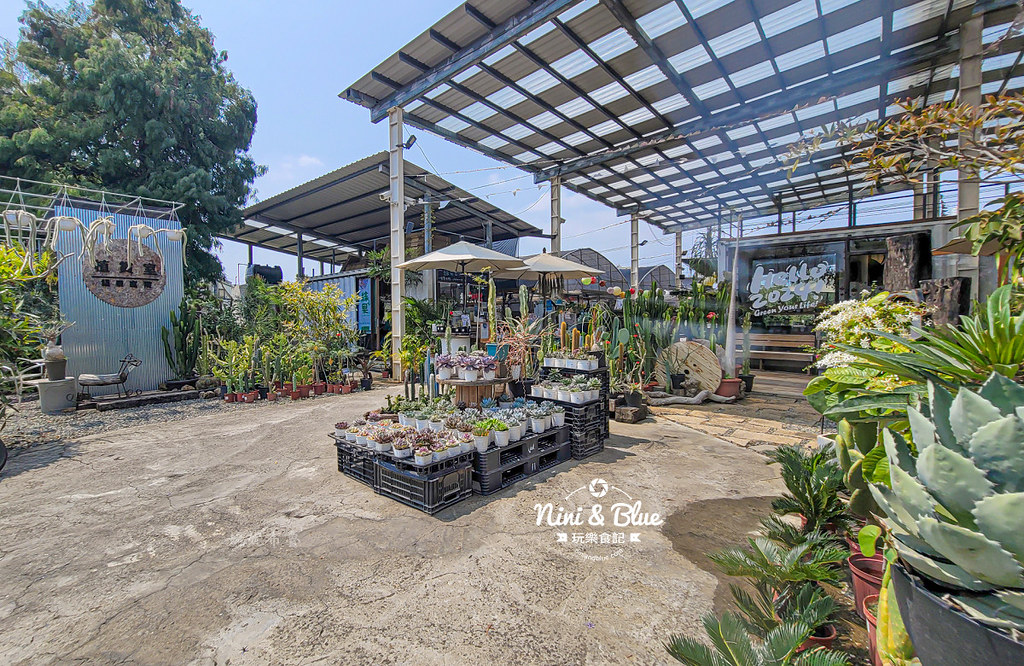 綠果庭院 田尾多肉植物 文青拍照景點01