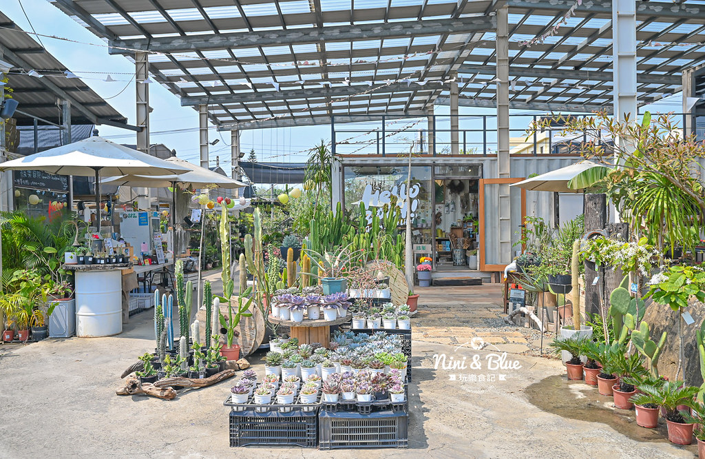 綠果庭院 田尾多肉植物 文青拍照景點11