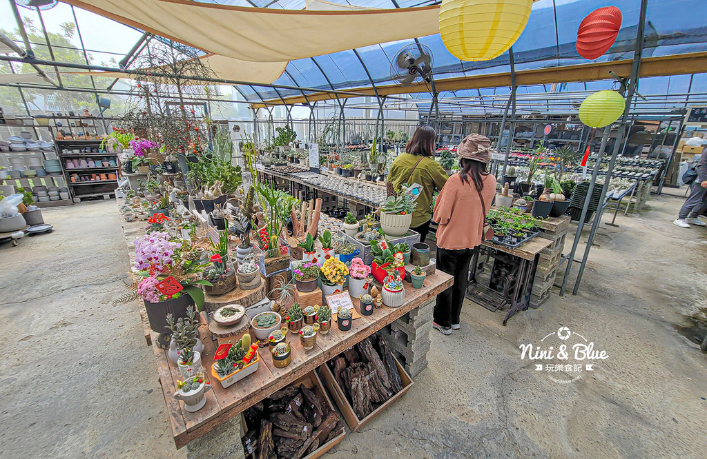 綠果庭院 田尾多肉植物 文青拍照景點09