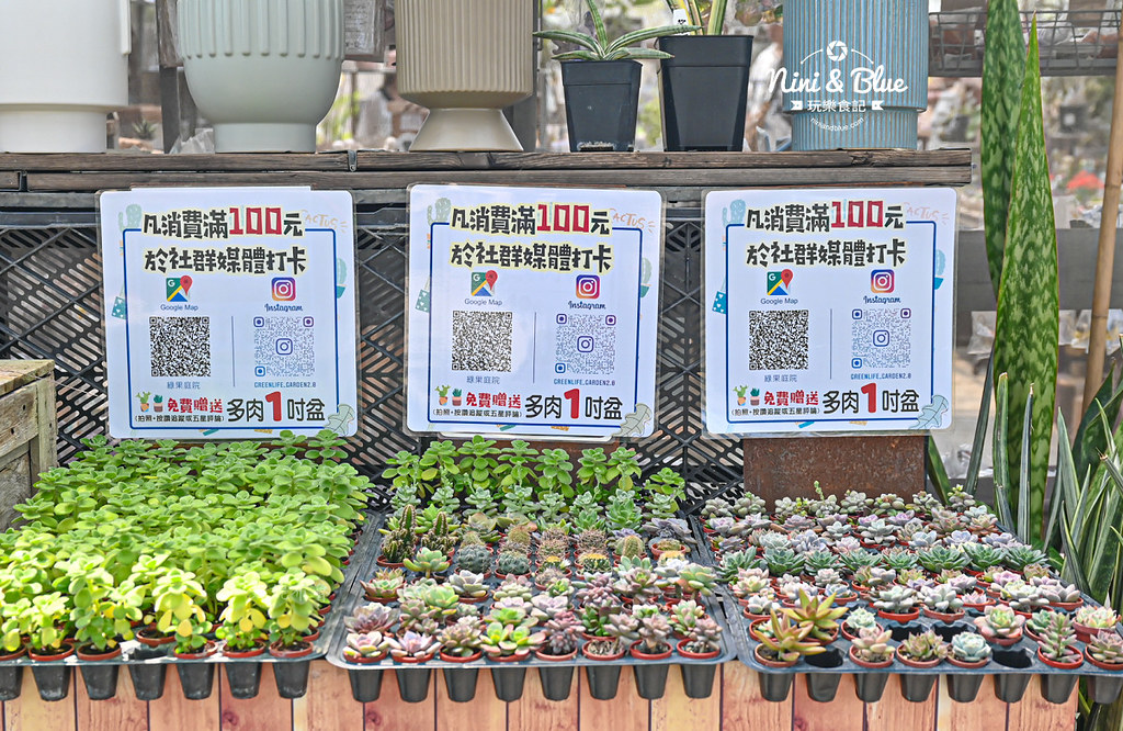 綠果庭院 田尾多肉植物 文青拍照景點15
