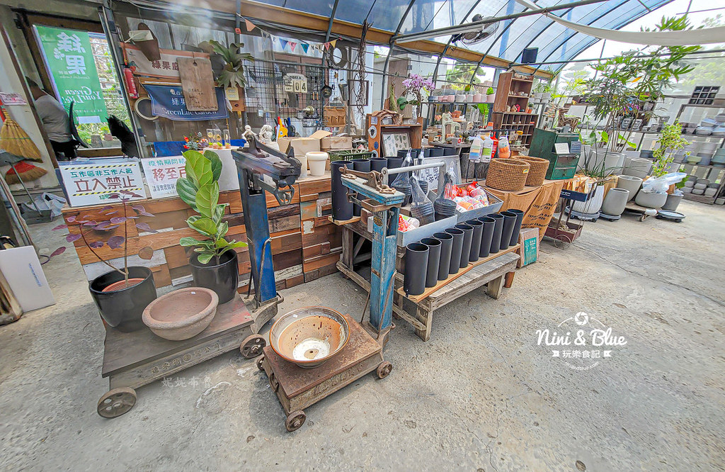 綠果庭院 田尾多肉植物 文青拍照景點10