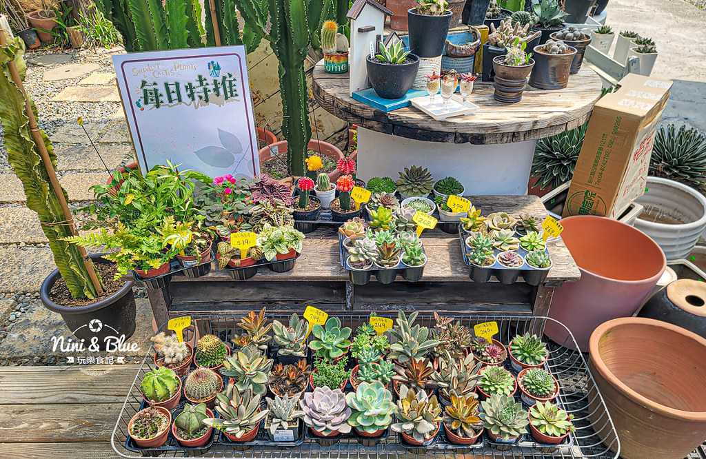 綠果庭院 田尾多肉植物 文青拍照景點03