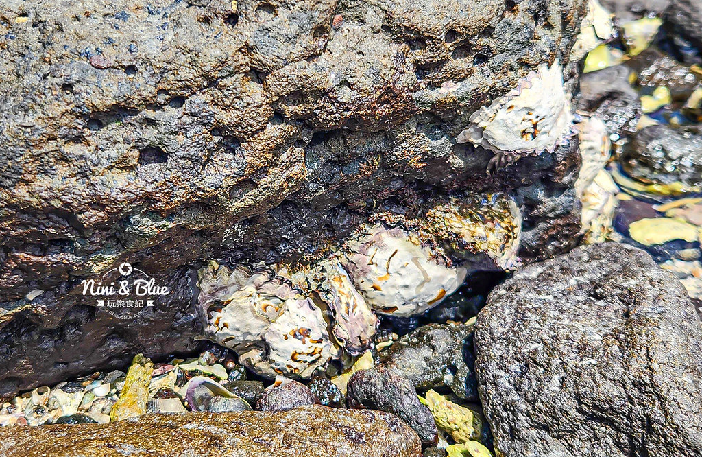 池西虎目滬 單心石滬 澎湖景點 愛心石滬03
