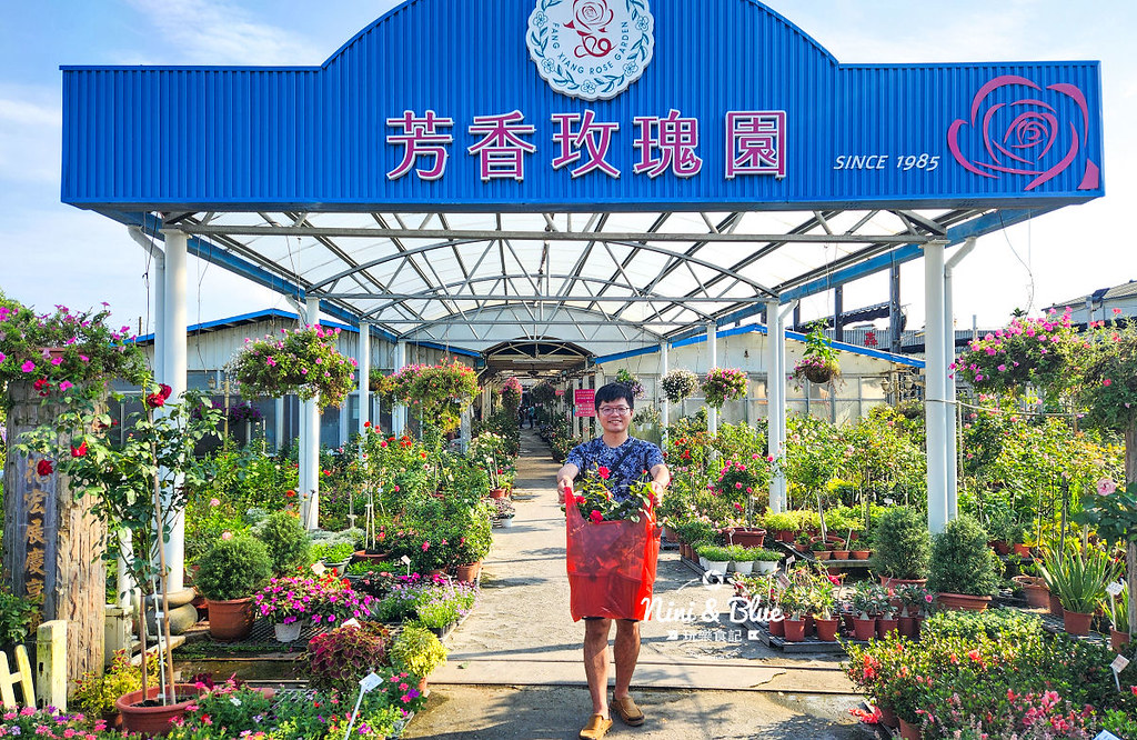 芳香玫瑰園田尾公路花園15 芳香玫瑰園田尾公路花園15