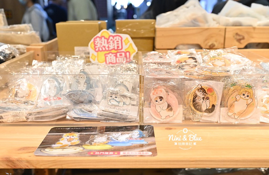 星宇航空 史努比  吉伊卡哇快閃 貓福珊迪 09