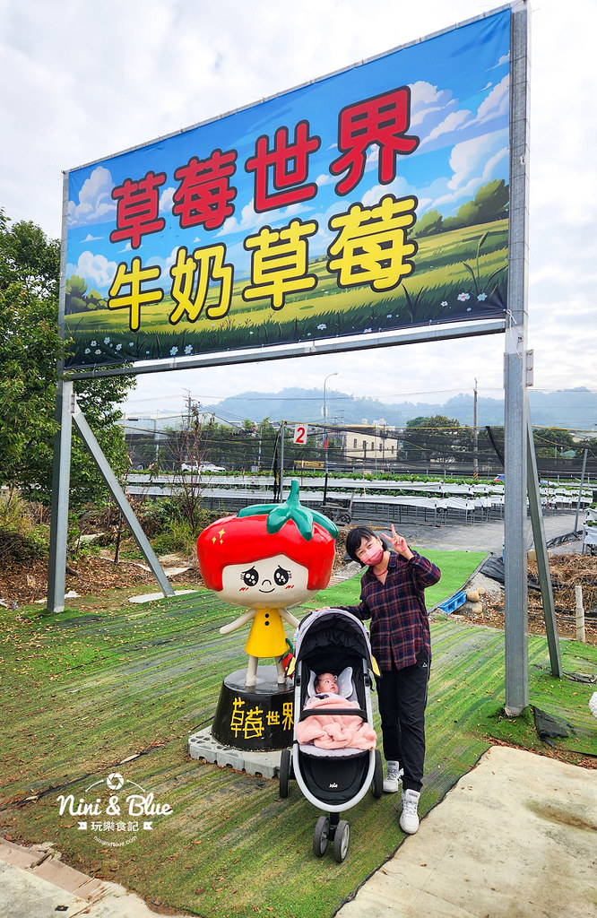 草莓世界台中採草莓02