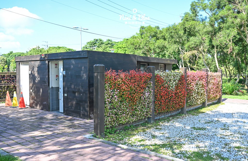 台中后里金針花 后里環保公園金針花02 台中后里金針花 后里環保公園金針花02