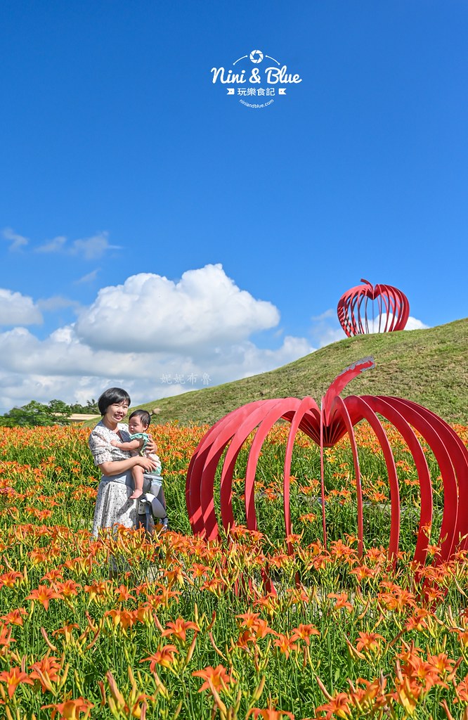台中后里金針花 后里環保公園金針花04 台中后里金針花 后里環保公園金針花04