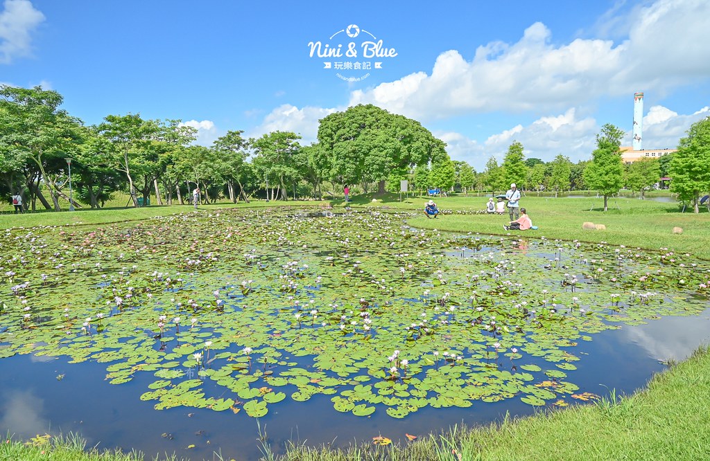 台中后里金針花 后里環保公園金針花11 台中后里金針花 后里環保公園金針花11