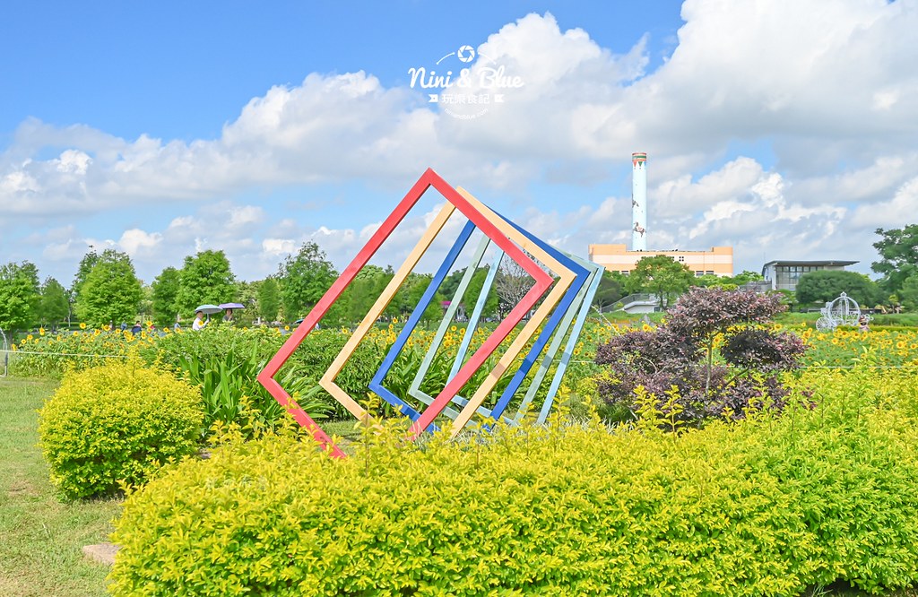 台中后里金針花 后里環保公園金針花06 台中后里金針花 后里環保公園金針花06
